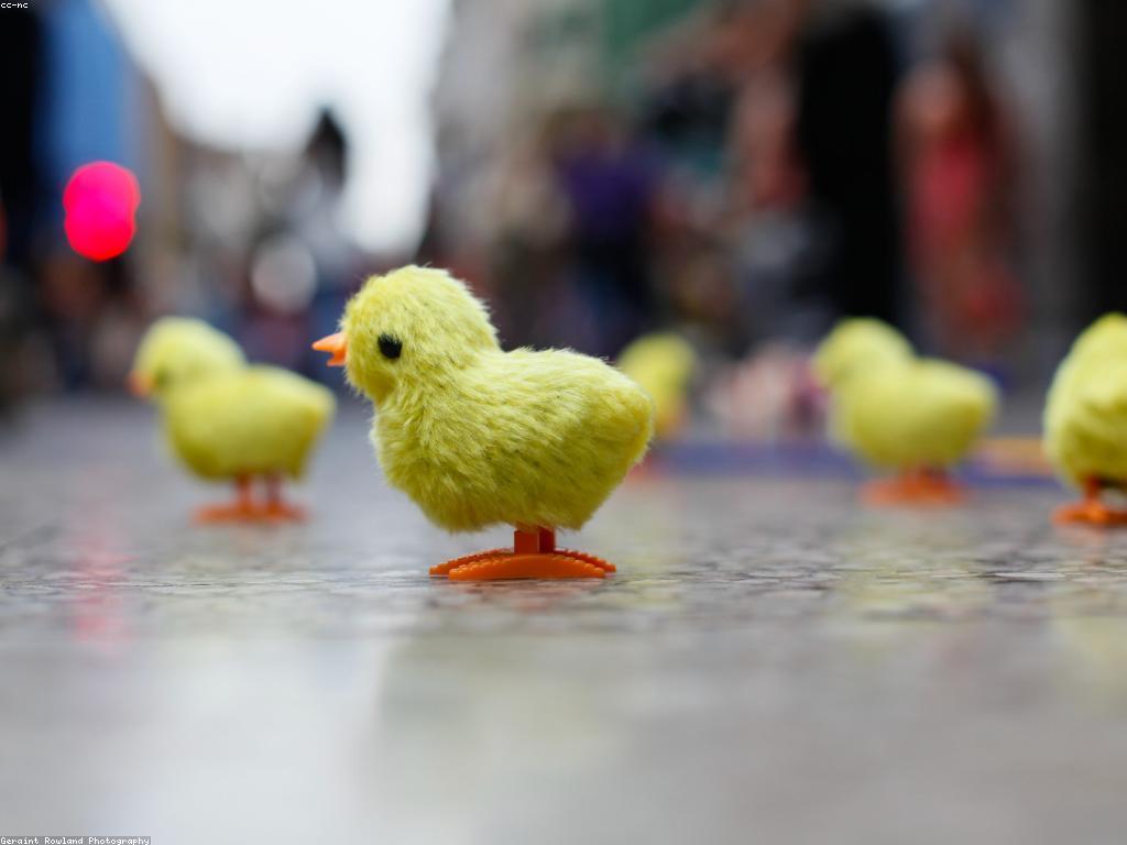 ល្បែងល្អបំផុតសម្រាប់បង្កើនសមត្ថភាពអារម្មណ៍